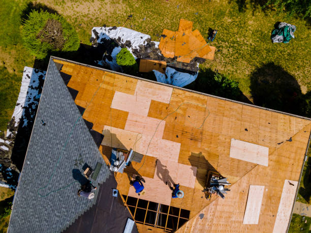 Best Flat Roof Repair Services  in Howland Center, OH